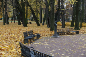 Михайловский сад.