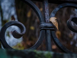 Вечность и быстротечность.