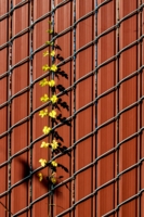 Случайность, или There are no accidents