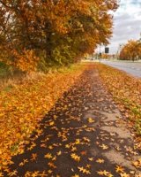 Осенняя перспектива