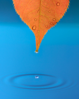 Приметы осени.