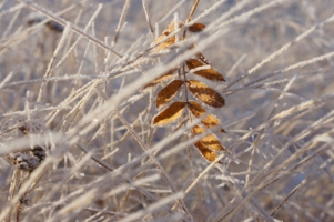 Задержался