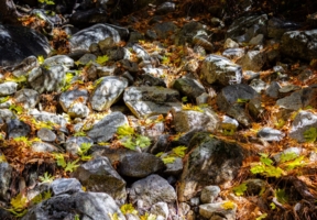 Свет и цвет