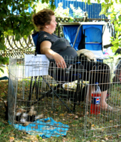 Распродажа