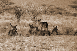 Всем на показ