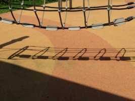 Трансформация клеток