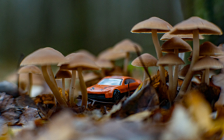 Дорогая, я уменьшил нашу машину.