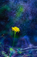 Дождливое утро