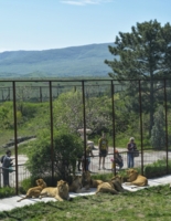 Кто в клетке?