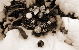 Под ёлочкой