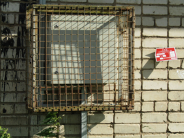 Клетки в клетке