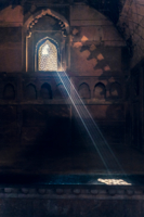 В темном царстве