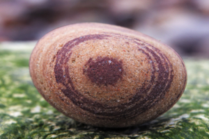 Подглядывающий