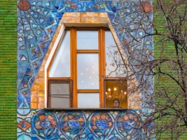 В золотой клетке