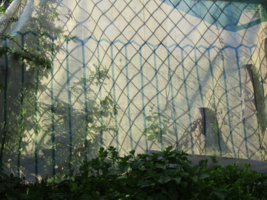 И в клетку и в полоску