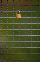 Ячейка общества