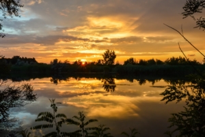 Золото заката