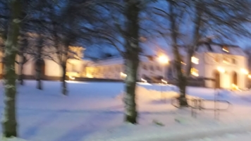 Королевский замок зимой