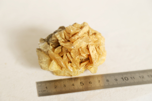 Роза пустыни