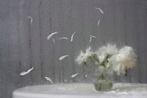 Прощание с пионами