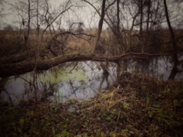 Вечность вода отражает