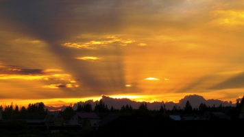 Оранжевый вечер