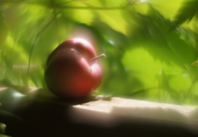 Яблоко наливное