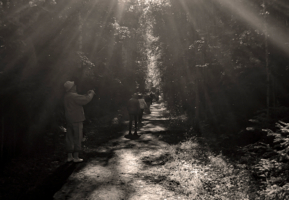 Солнечный душ