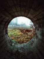 А в душе любовь и вера