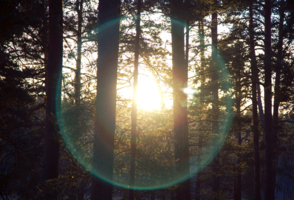 Солнечный ореол