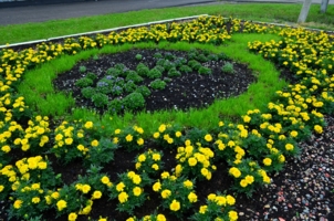 Цветочное кольцо