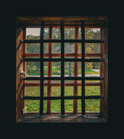 Клетка на клетке