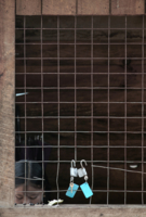 Провинилась