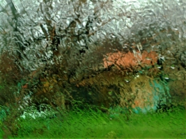 За пеленой дождя