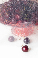 Любимая ягода