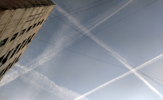 Соревнование клеток