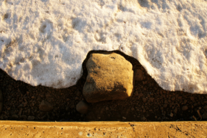 Передовой отряд весны