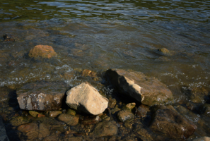 Вышел сухой из воды