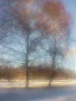 Погожий денёк