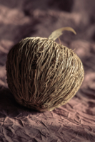 Клубок прутиков