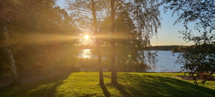 Утро на пляже