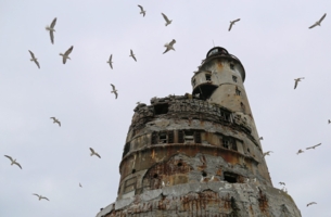 Жители старого маяка