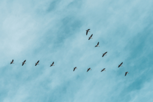 Осталось одно место