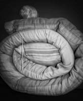 Не выходи из комнаты, не совершай ошибку.