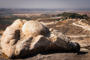 Курица или яйцо