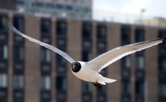 Глаза в глаза