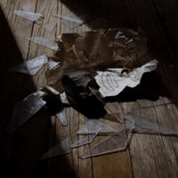 Черная кошка