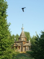 Что ты кружишь?