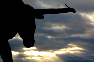 В лучах заката