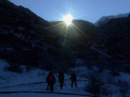 И выглянуло солнце